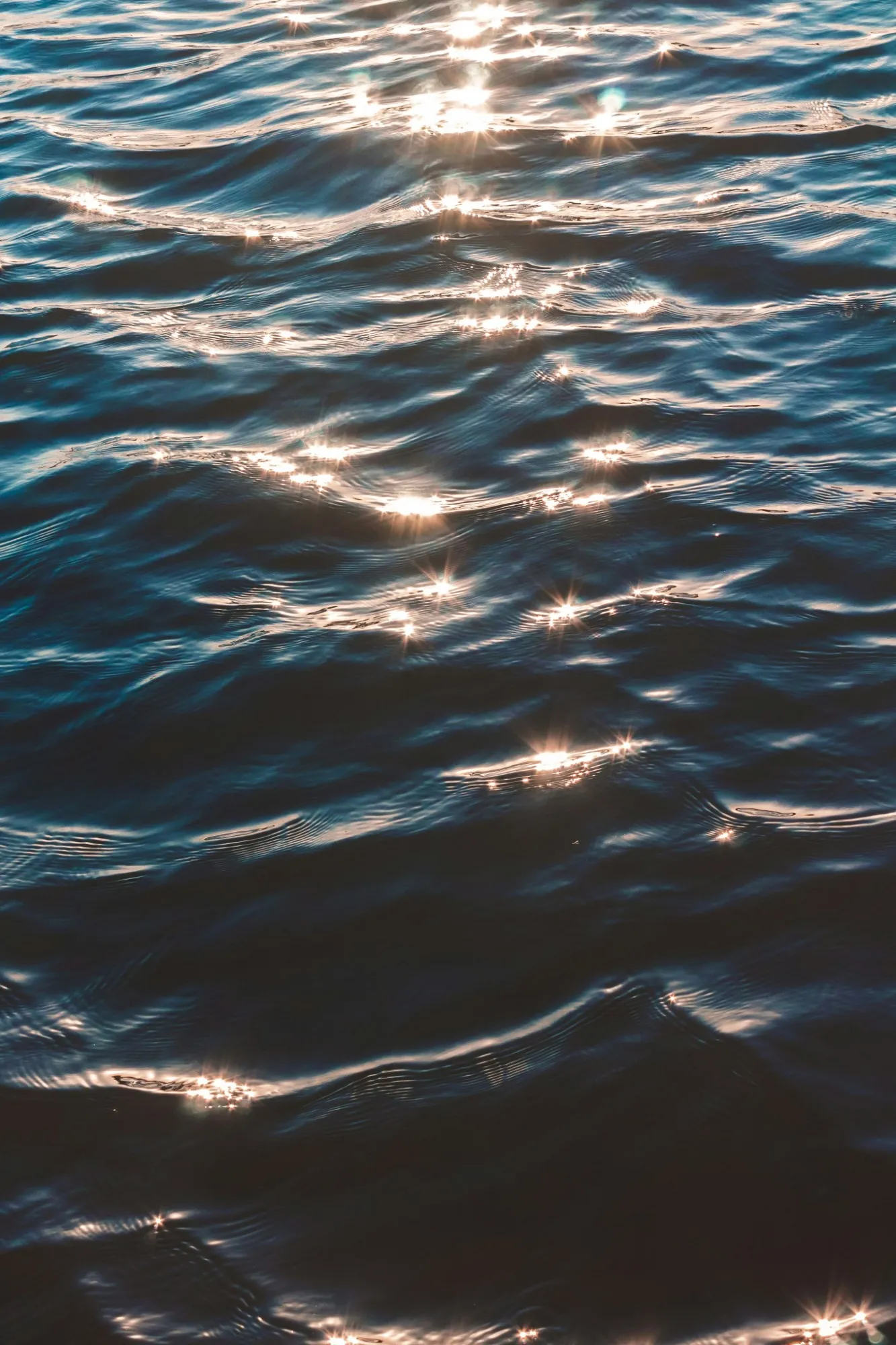 Evening light glittering on gently rippling water